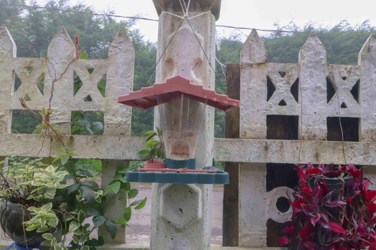 Paradise Cottage نوفارا إيلِيا المظهر الخارجي الصورة